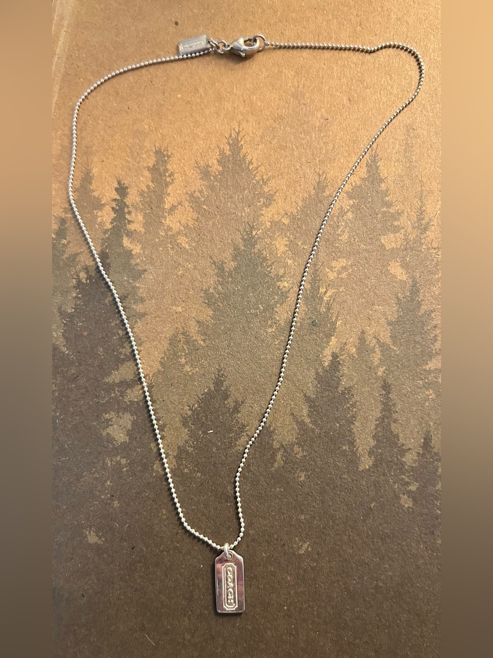 Coach Silver Dog Tag Pendant Necklace